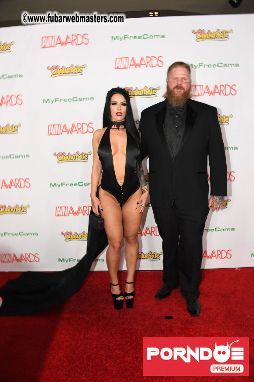 The 2017 AVN Awards