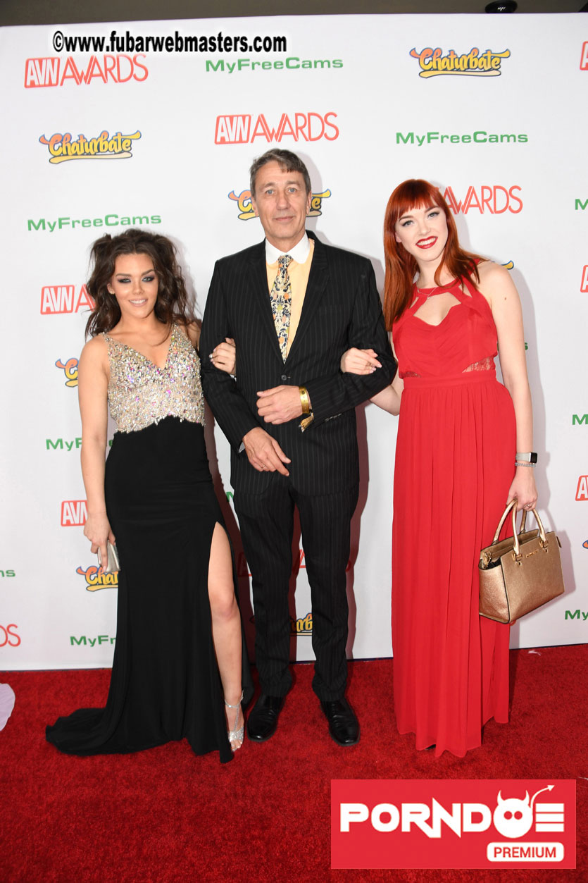 The 2017 AVN Awards