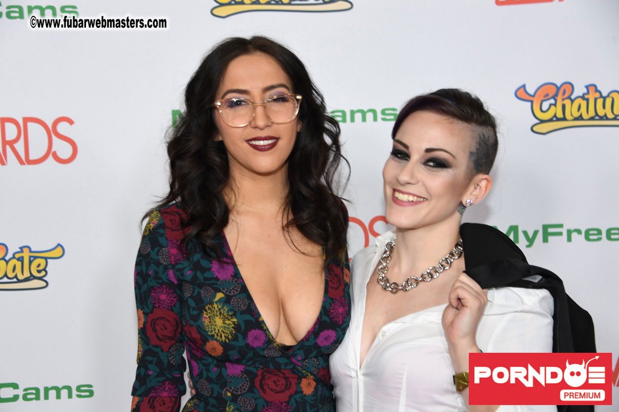 The 2017 AVN Awards