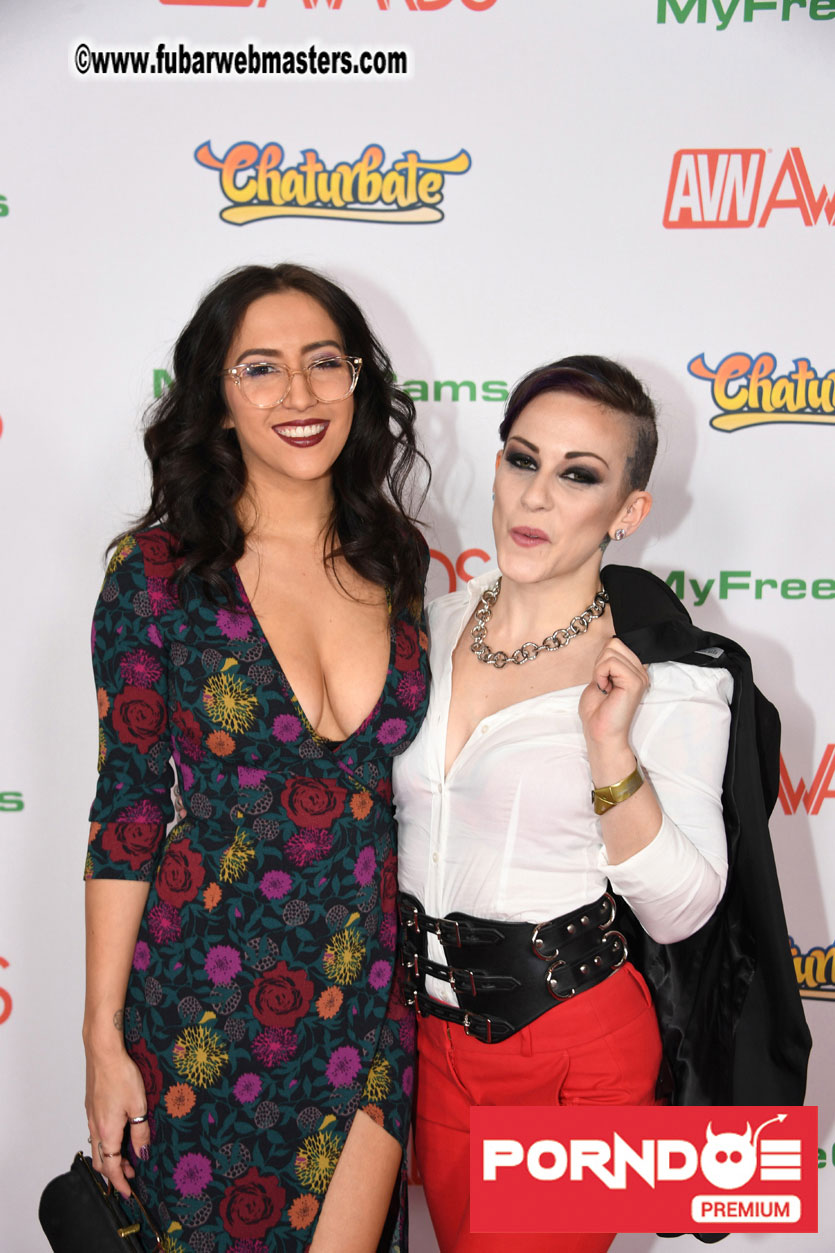 The 2017 AVN Awards