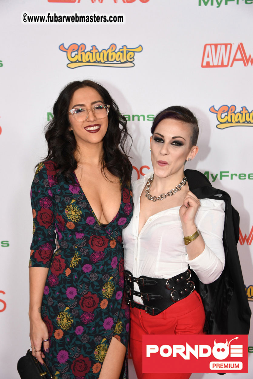 The 2017 AVN Awards