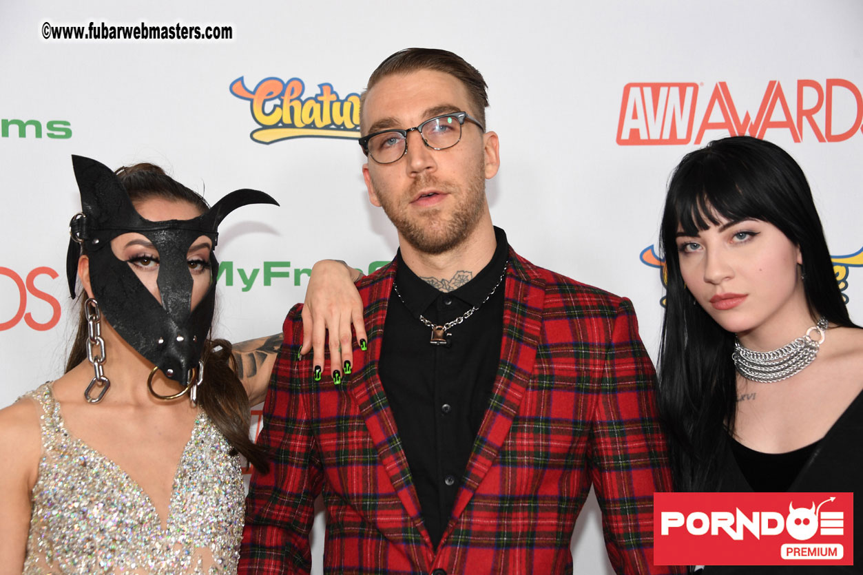 The 2017 AVN Awards