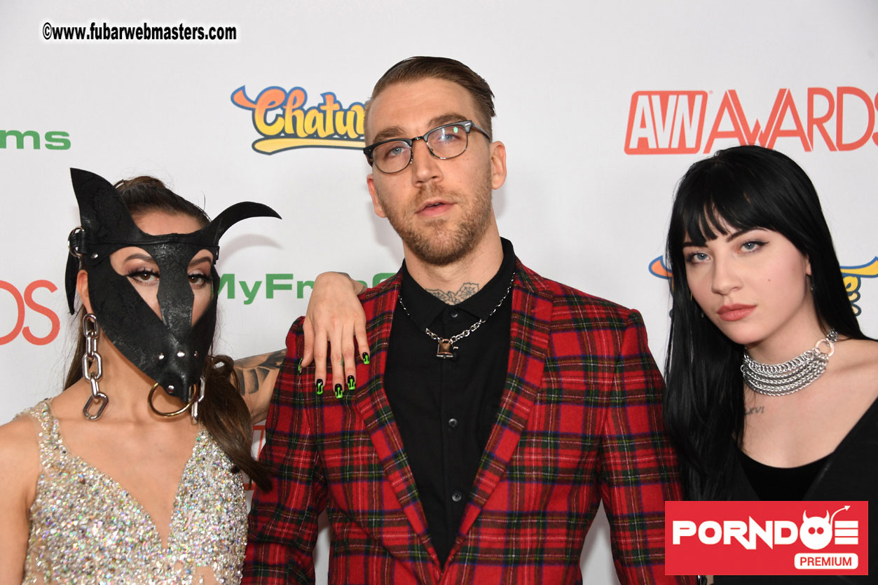 The 2017 AVN Awards