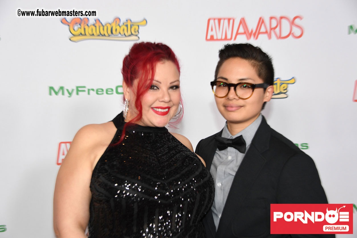 The 2017 AVN Awards