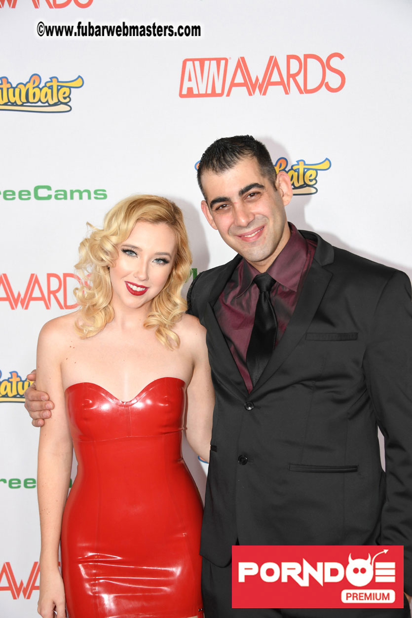 The 2017 AVN Awards