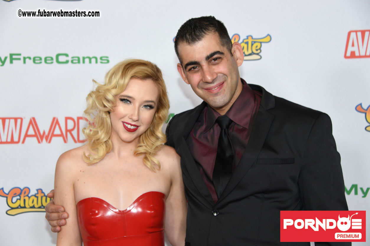 The 2017 AVN Awards