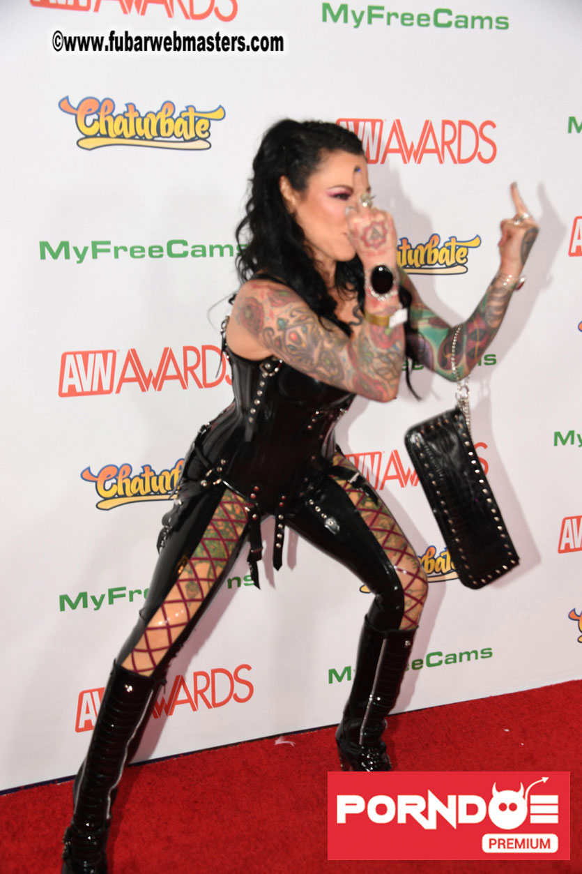 The 2017 AVN Awards