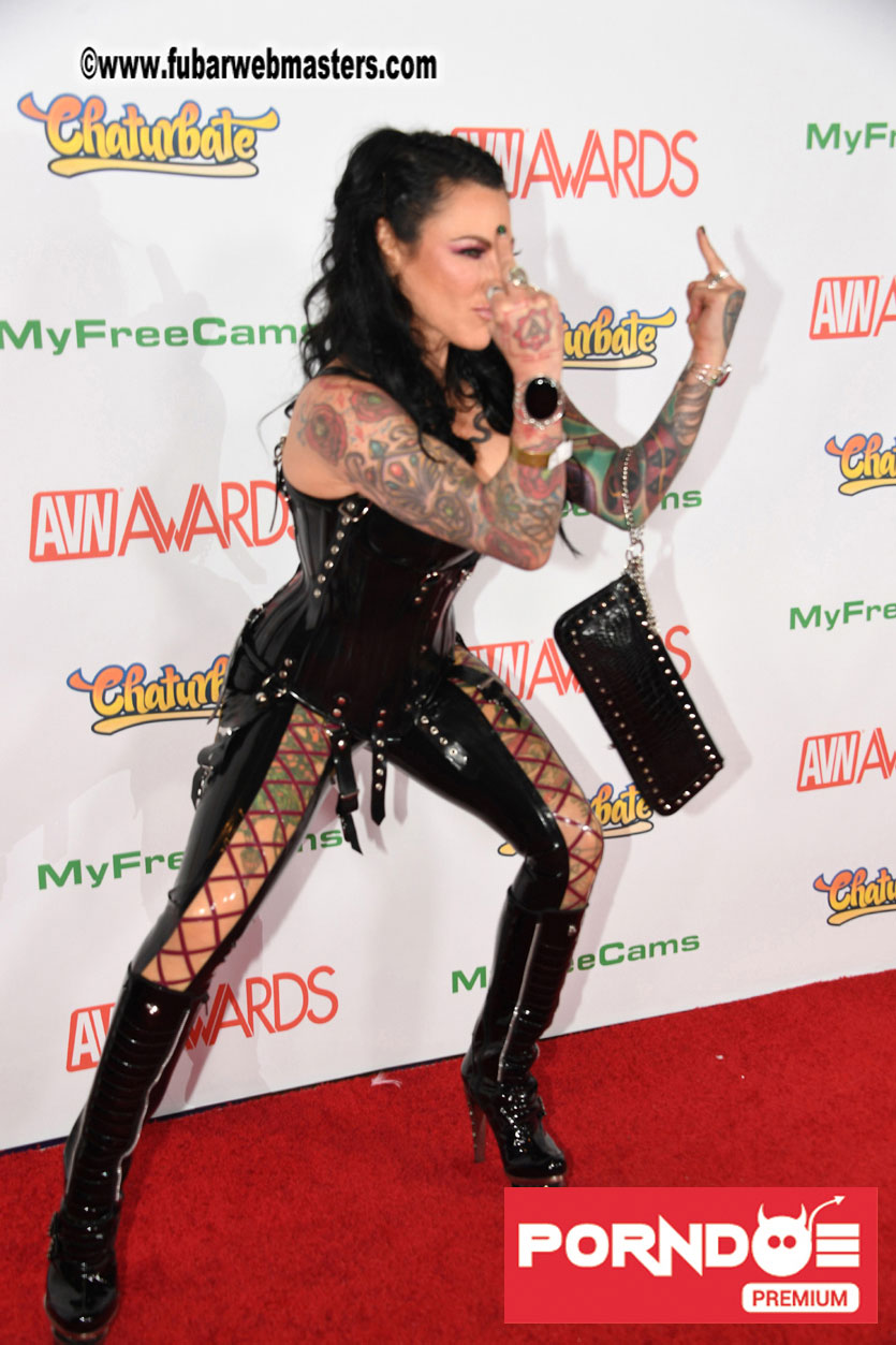 The 2017 AVN Awards