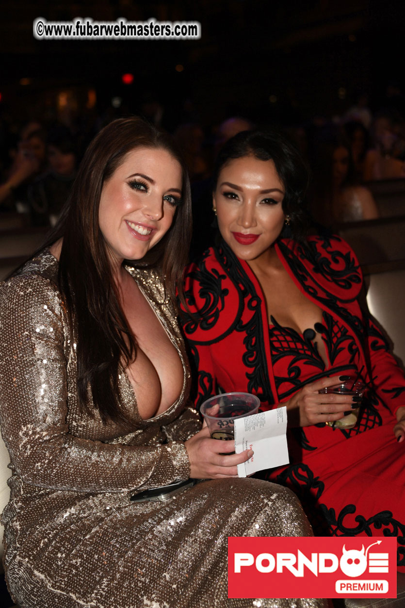 The 2017 AVN Awards