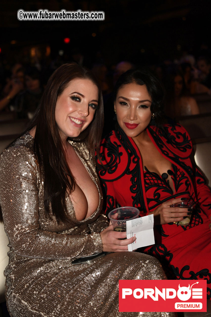 The 2017 AVN Awards