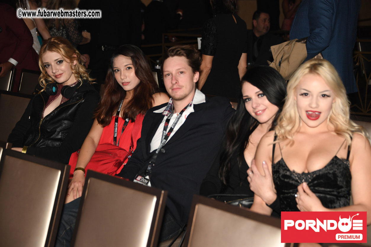 The 2017 AVN Awards