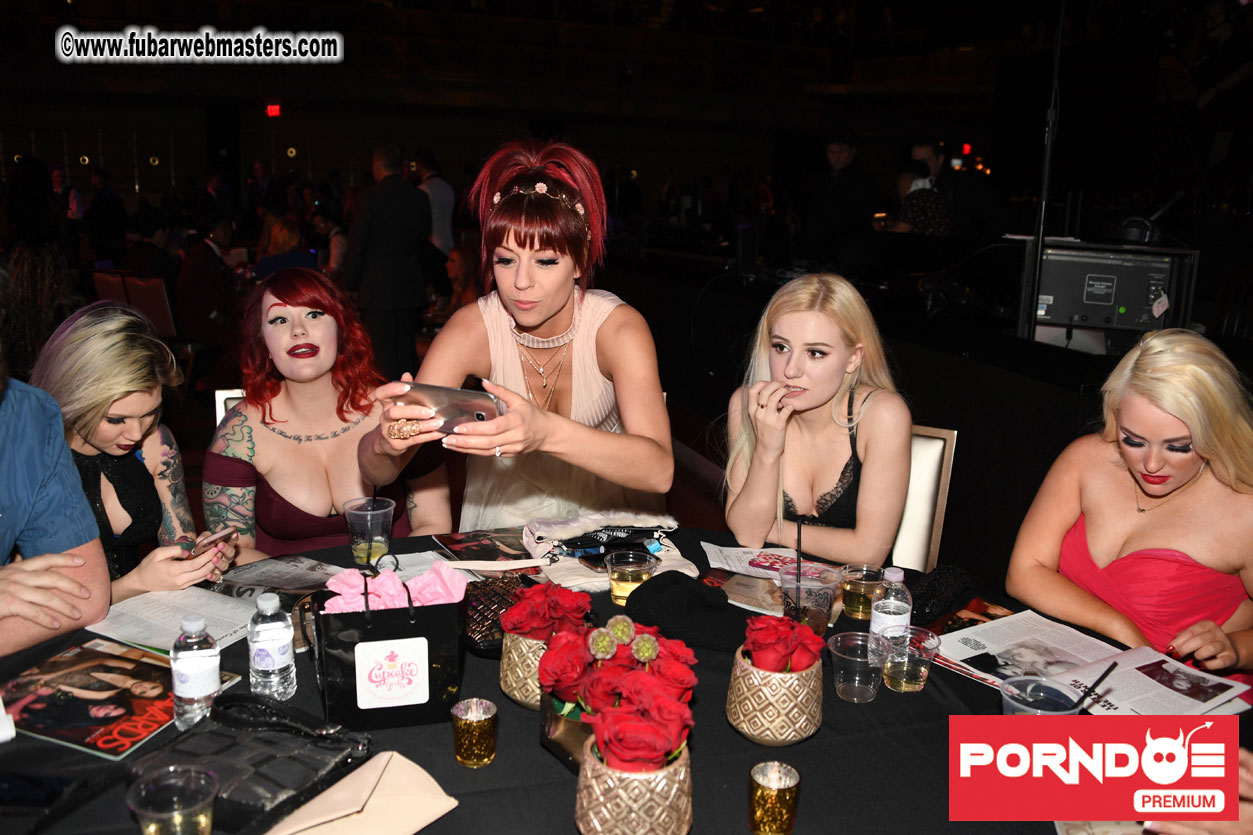 The 2017 AVN Awards