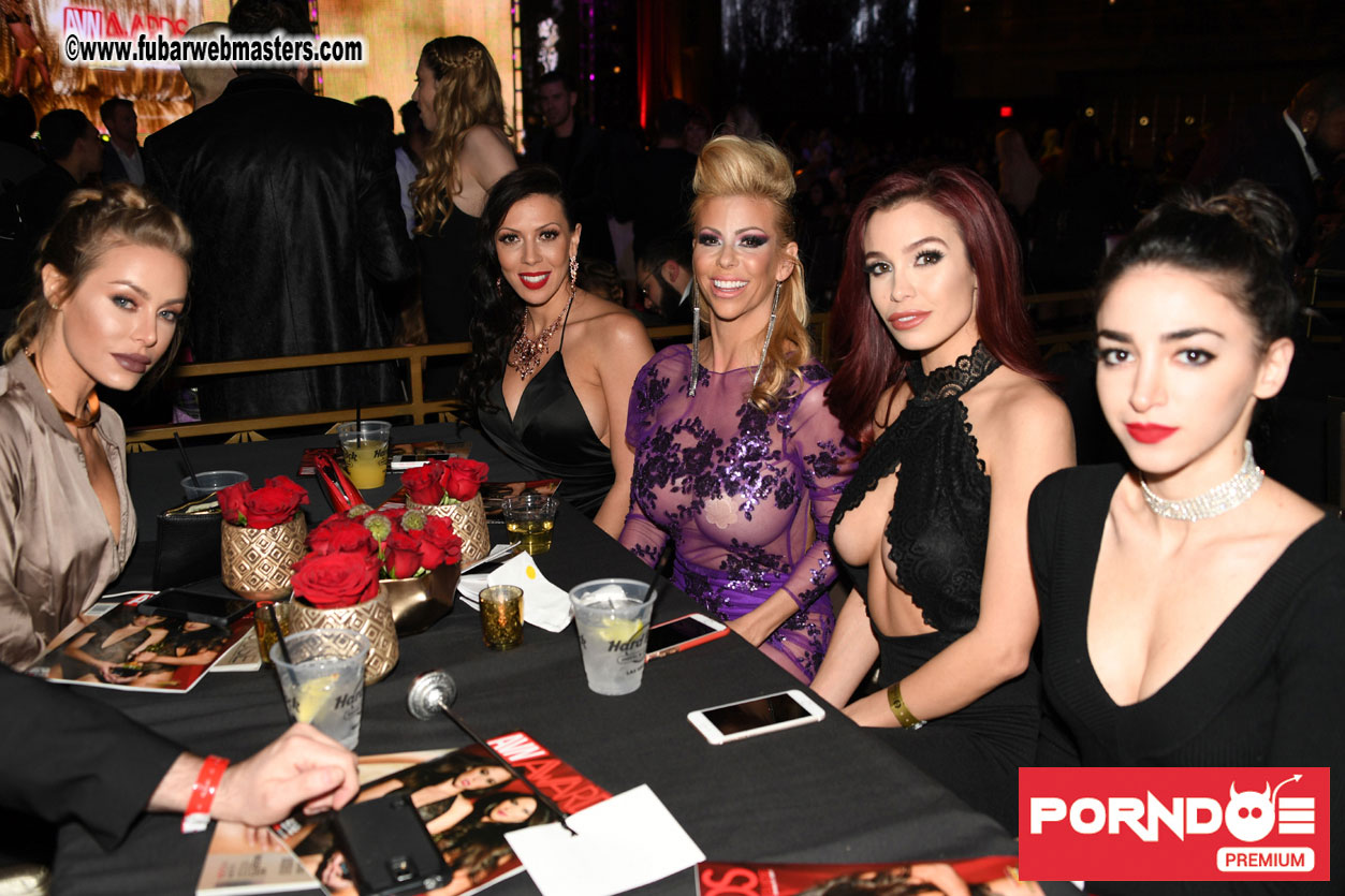 The 2017 AVN Awards