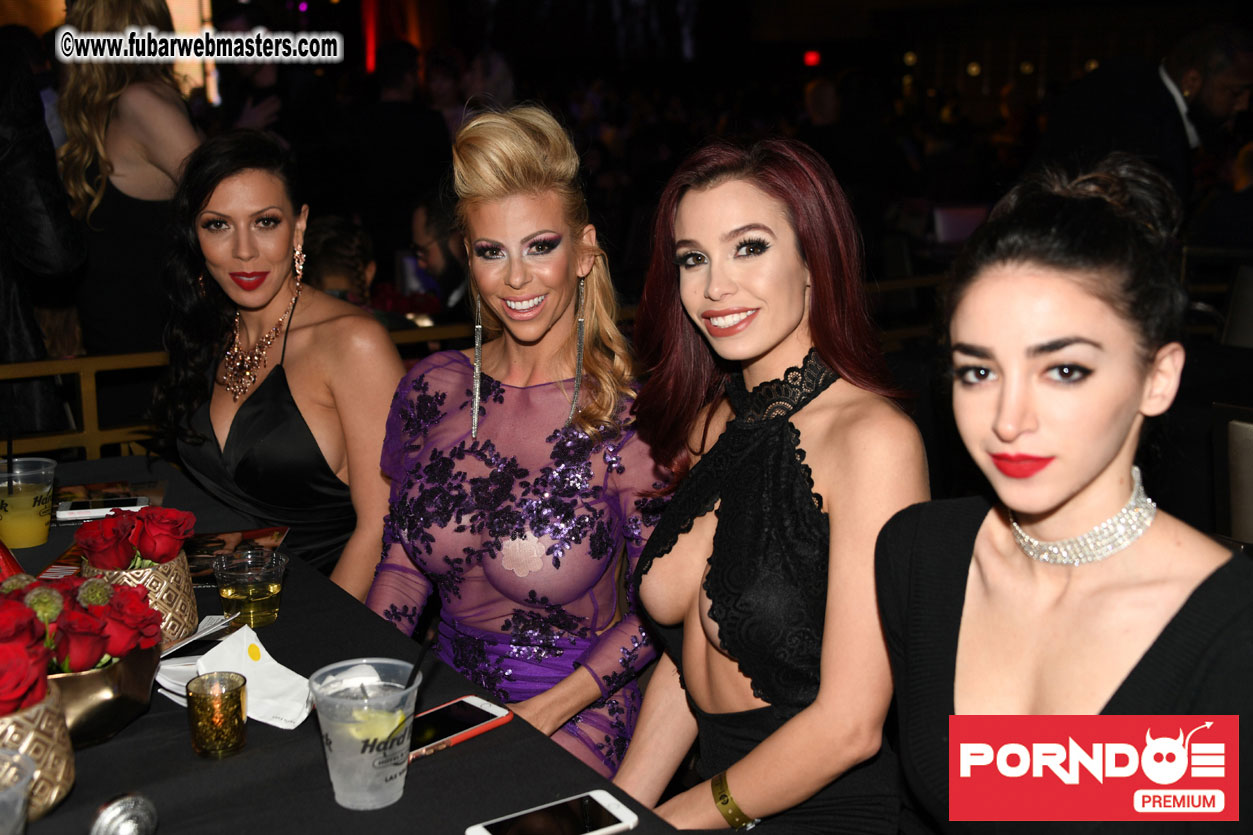 The 2017 AVN Awards