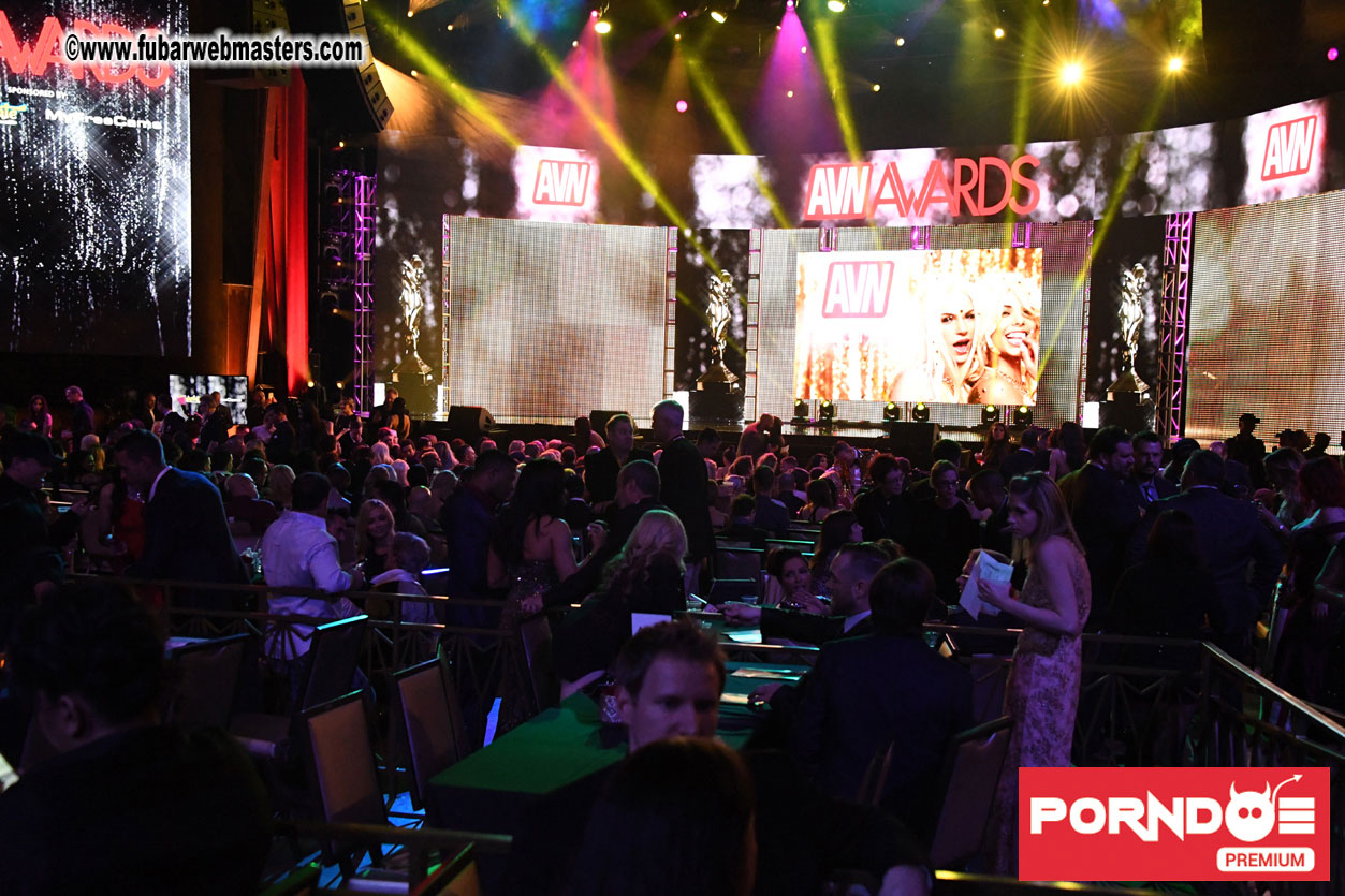 The 2017 AVN Awards