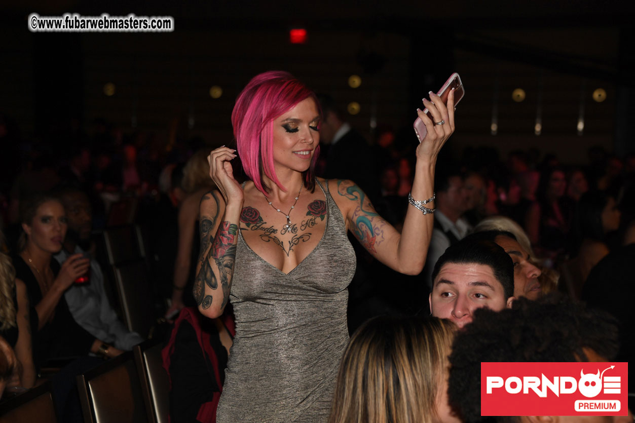 The 2017 AVN Awards