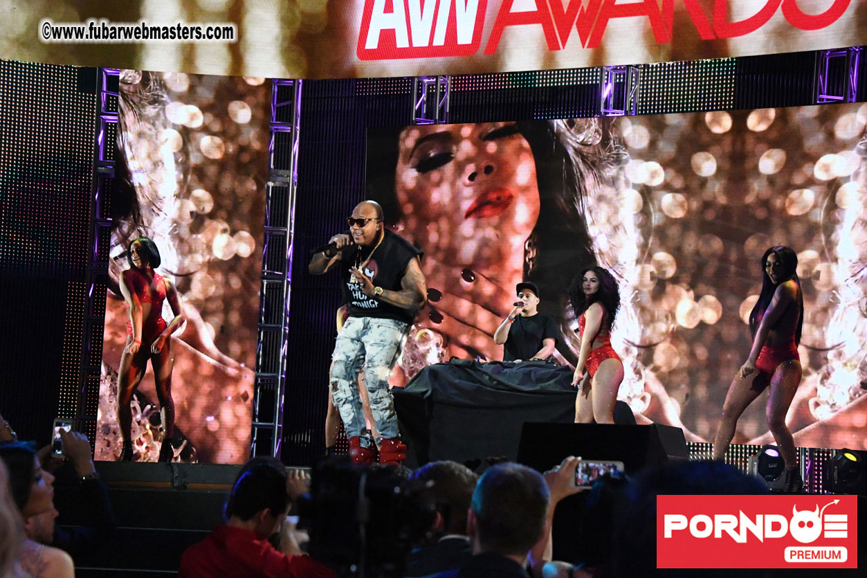 The 2017 AVN Awards