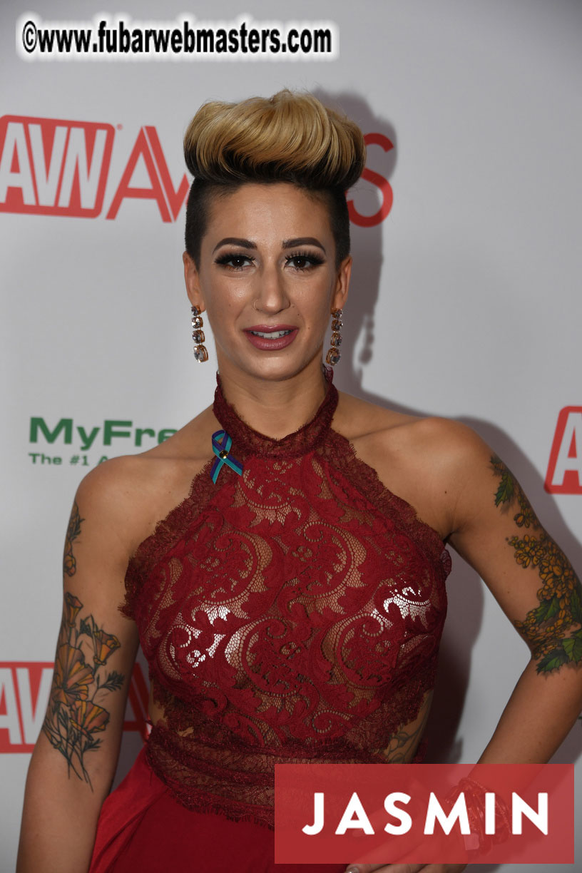 Early AVN Red Carpet