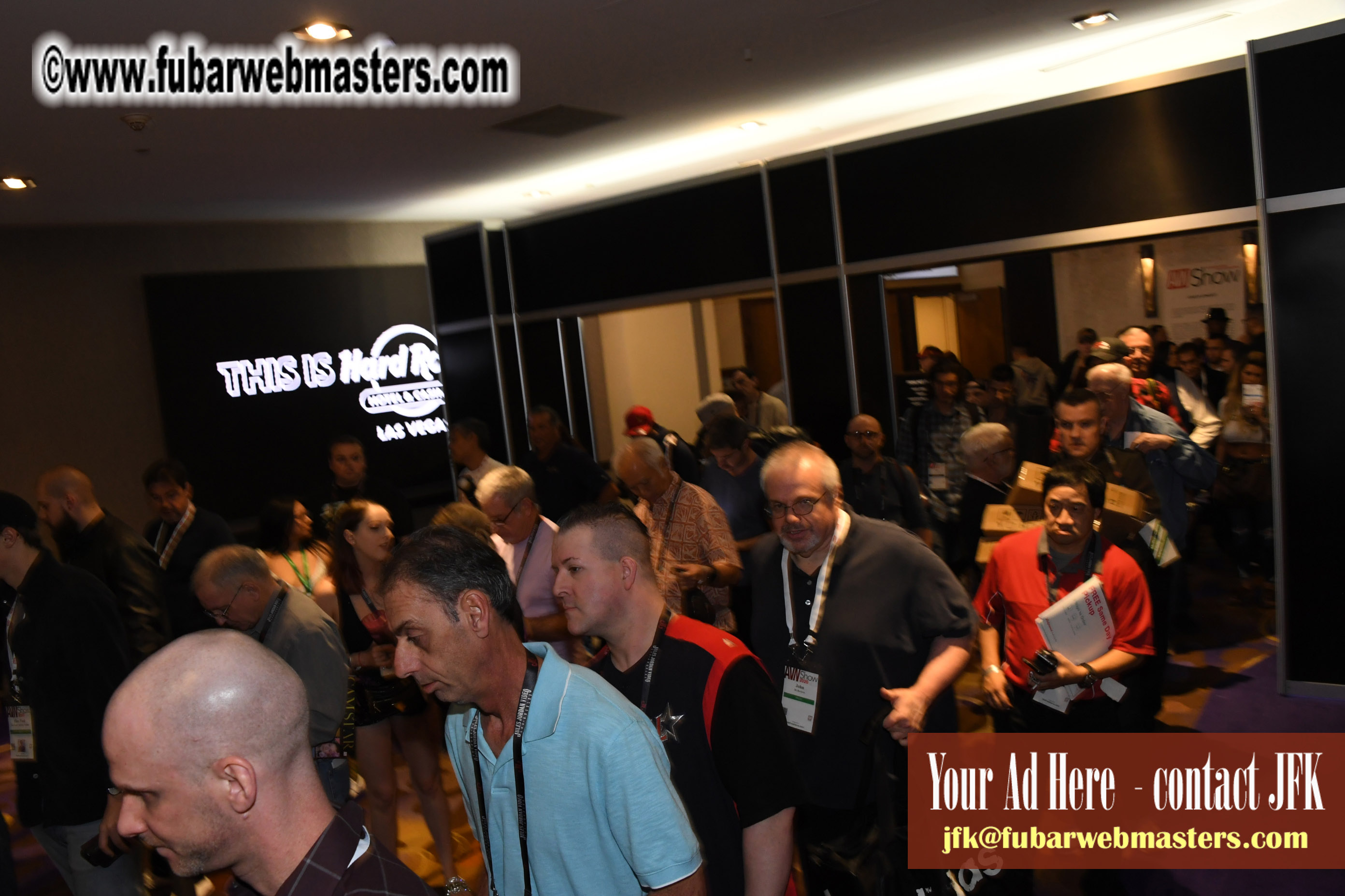 The AVN Show