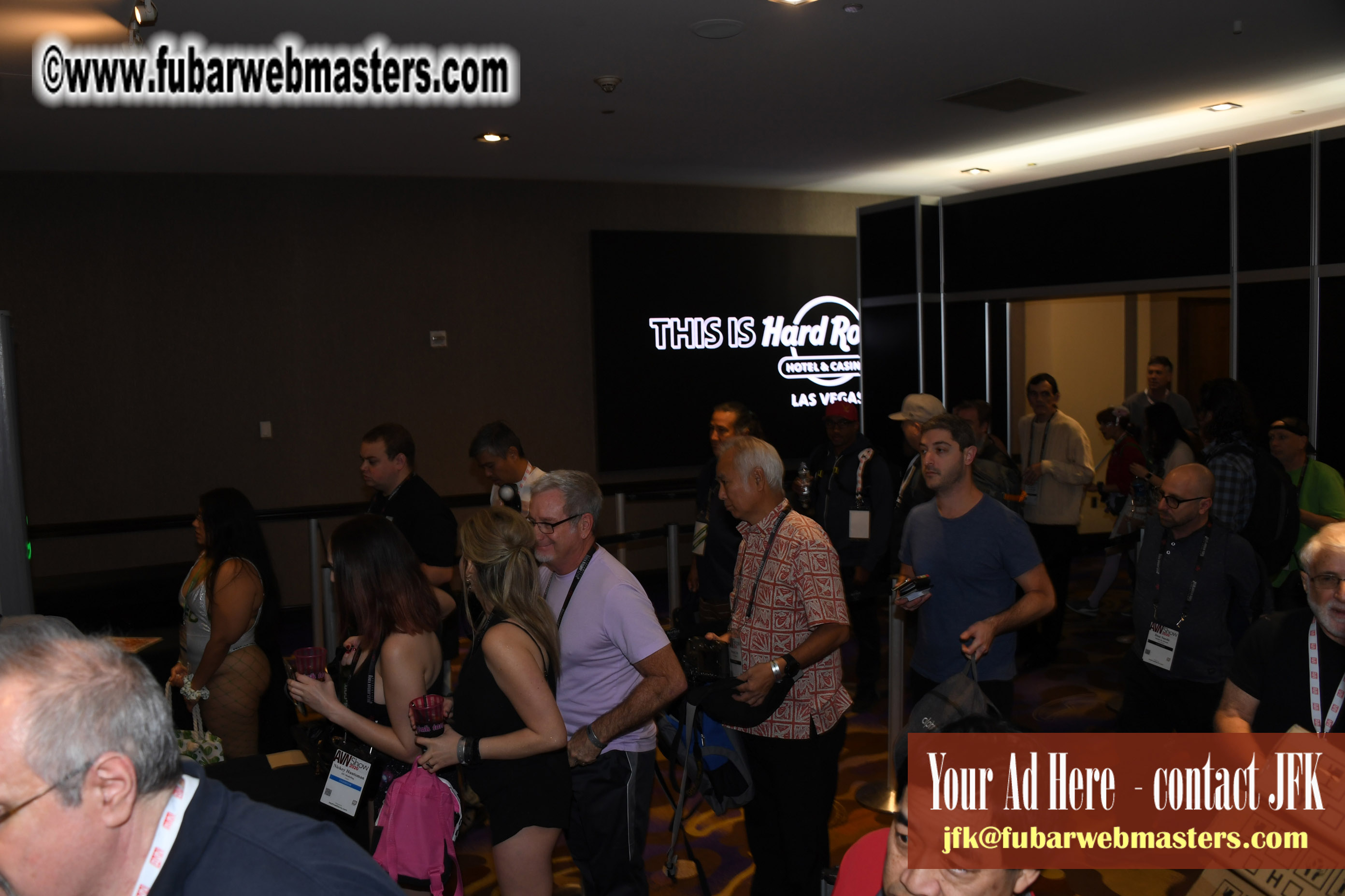 The AVN Show