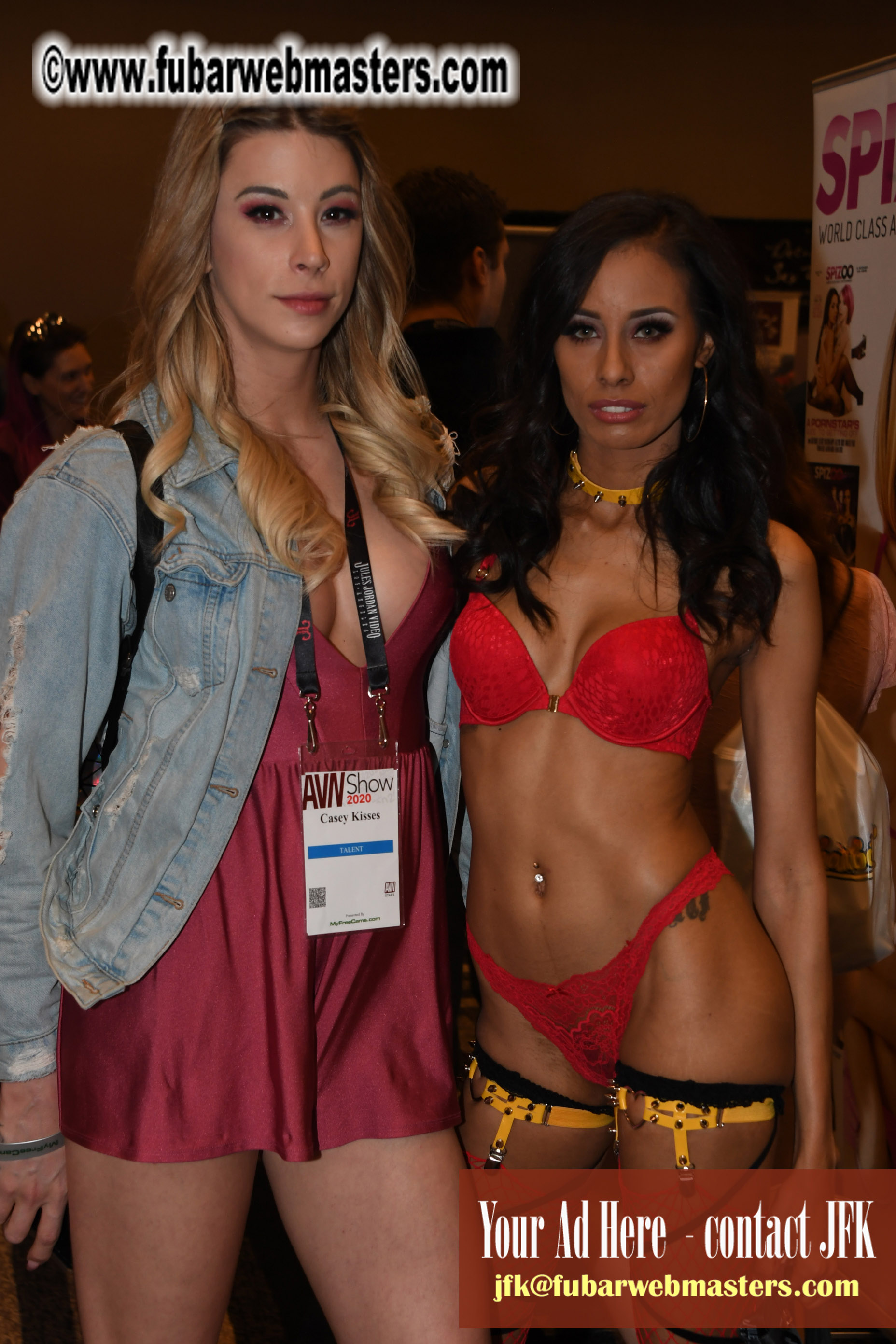 The AVN Show