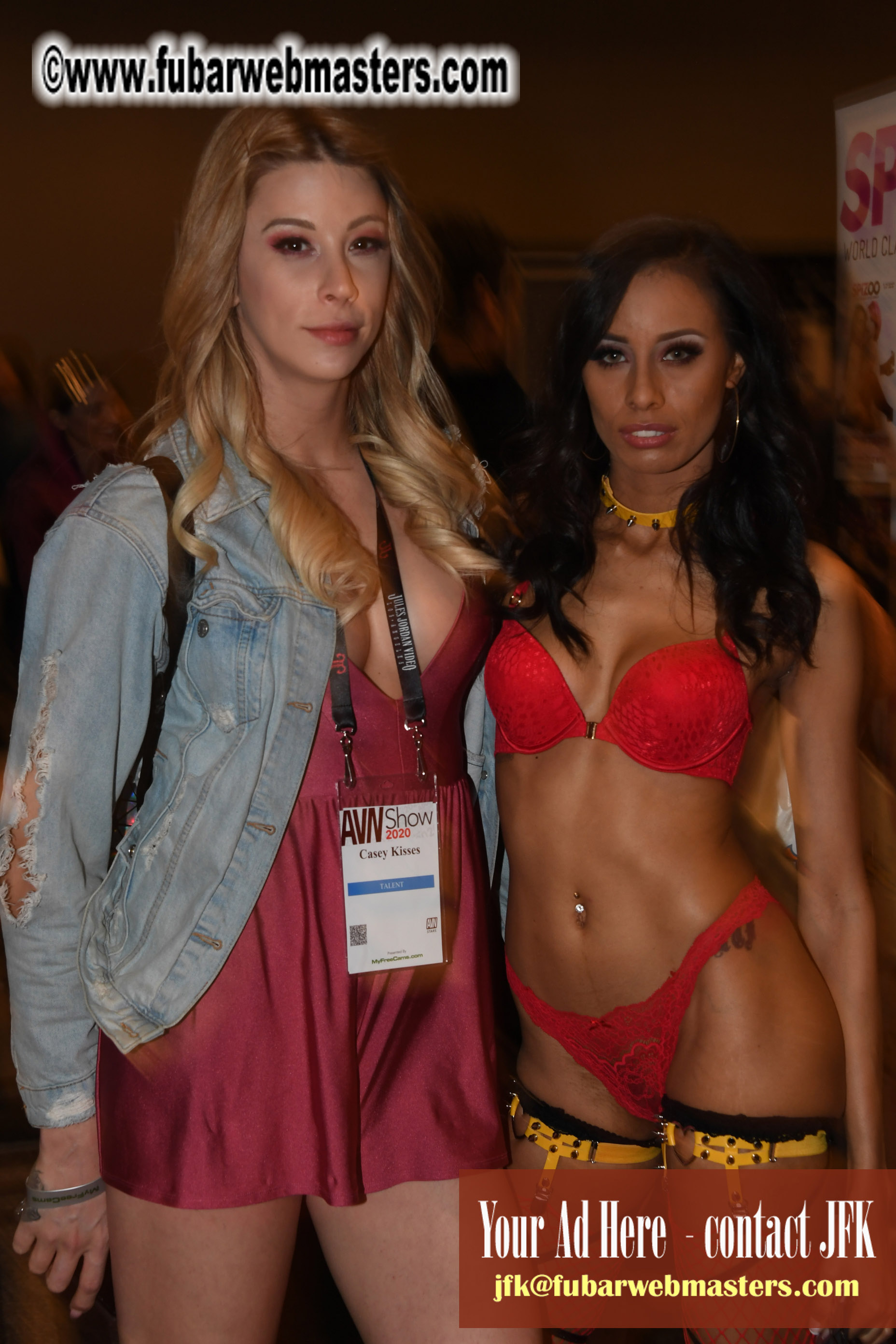 The AVN Show