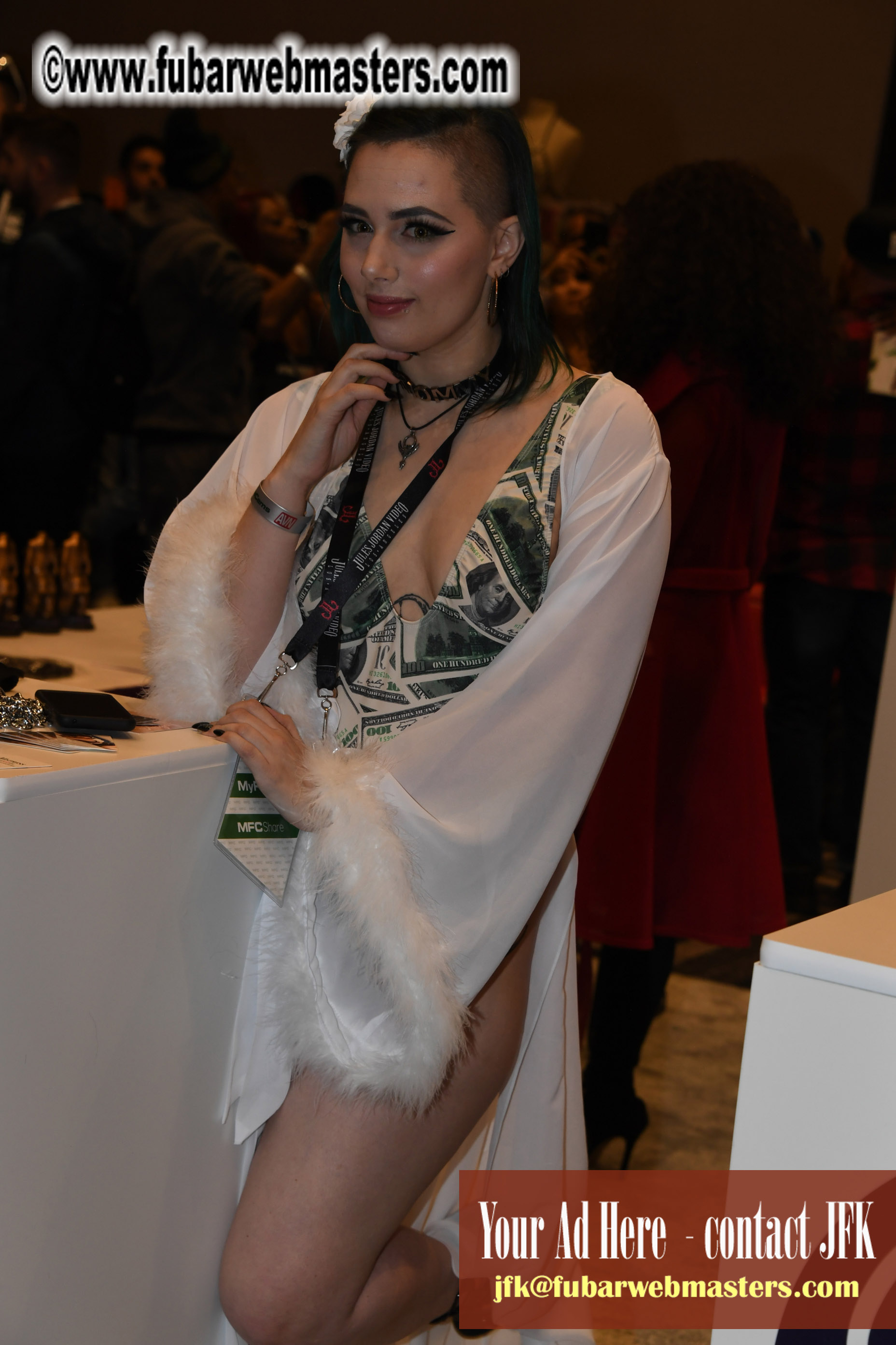 The AVN Show