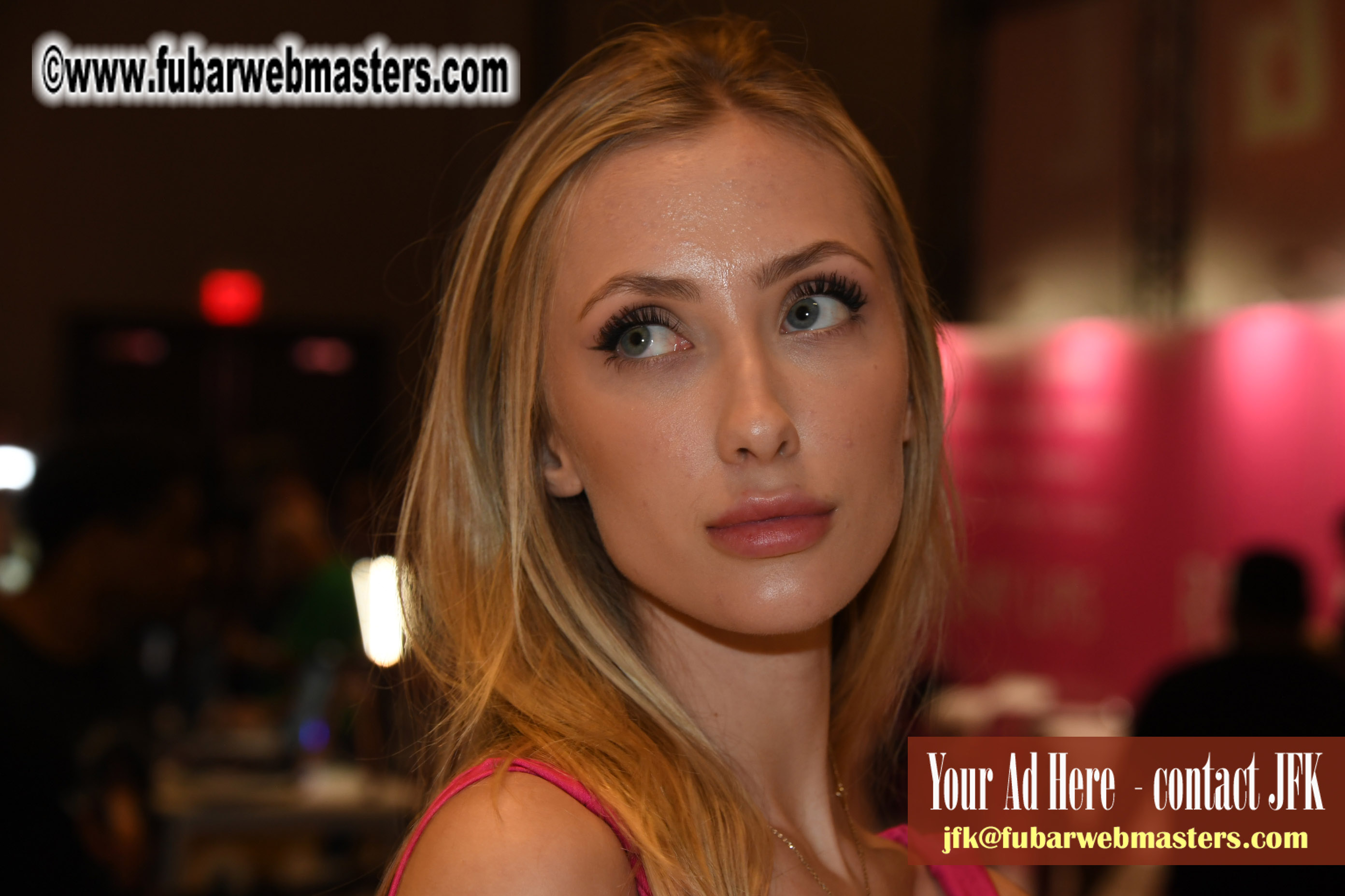 The AVN Show