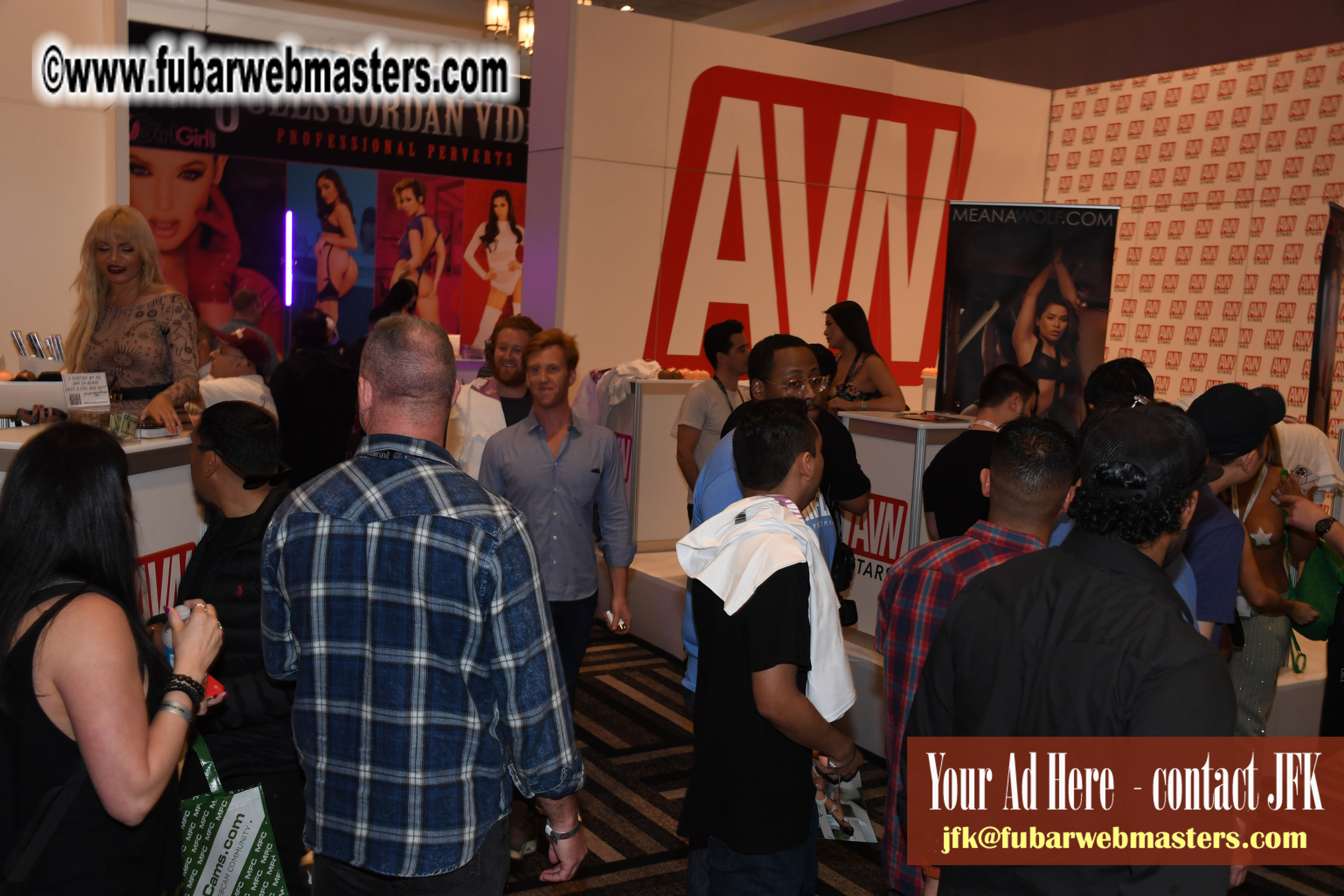 The AVN Show