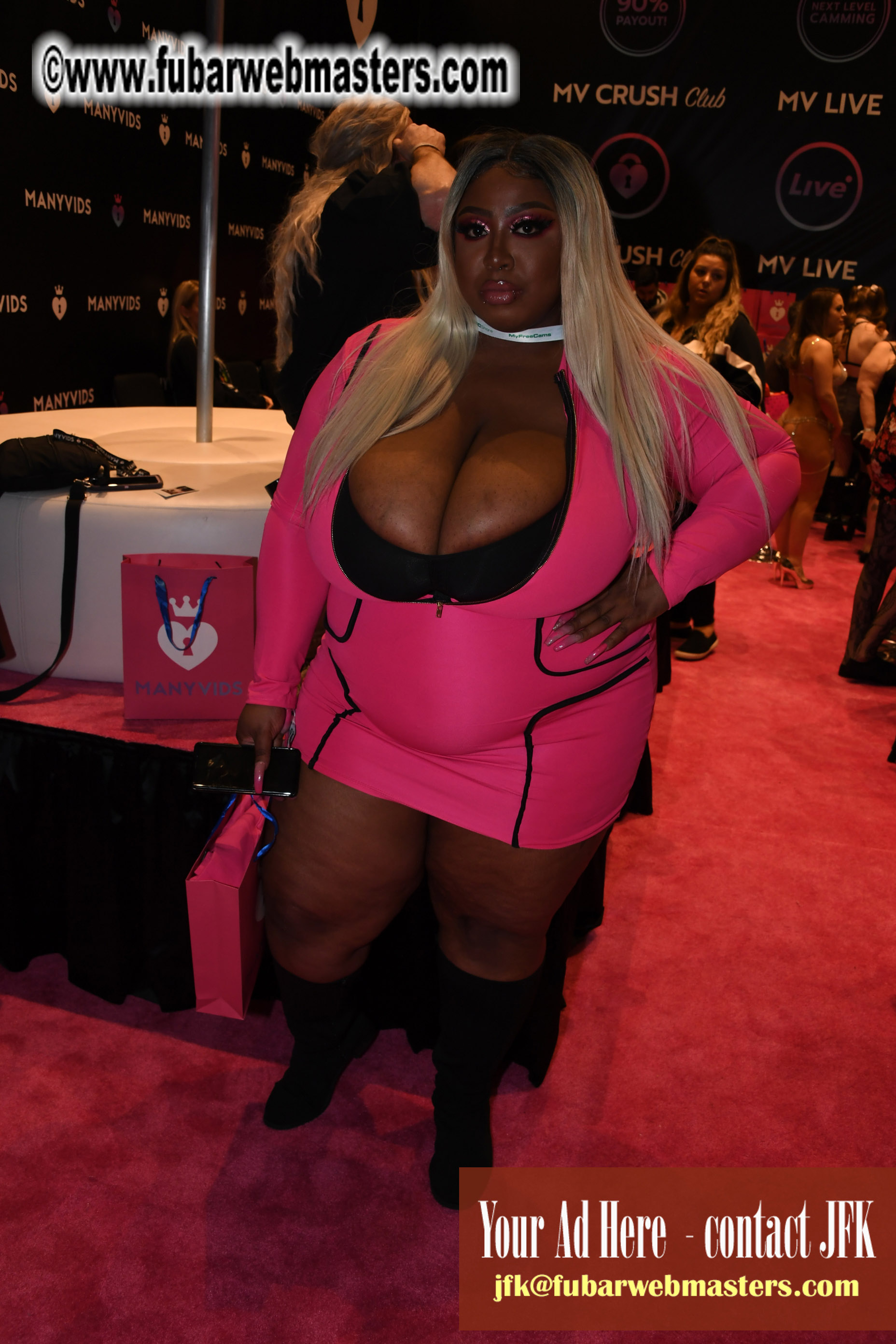 The AVN Show