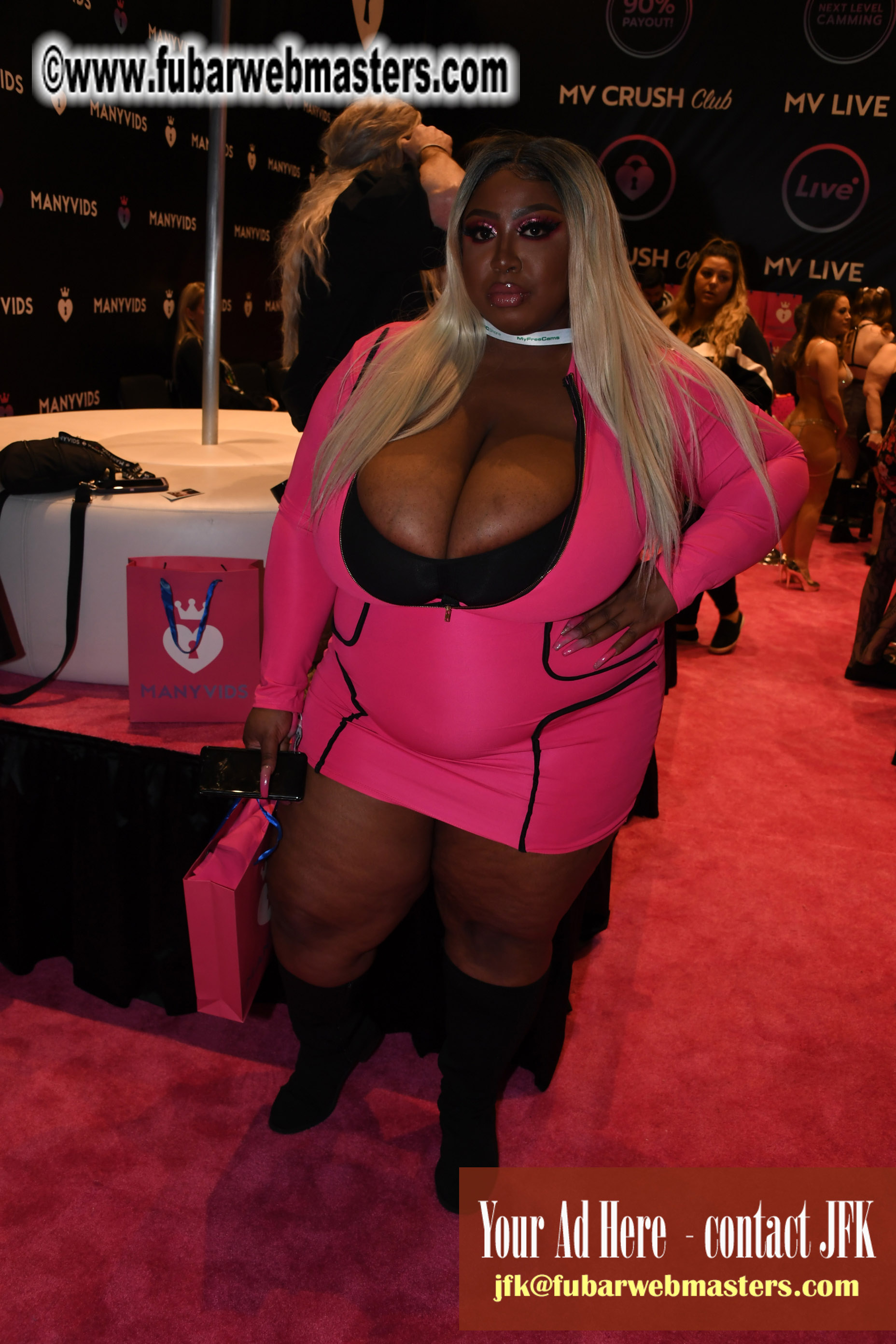 The AVN Show