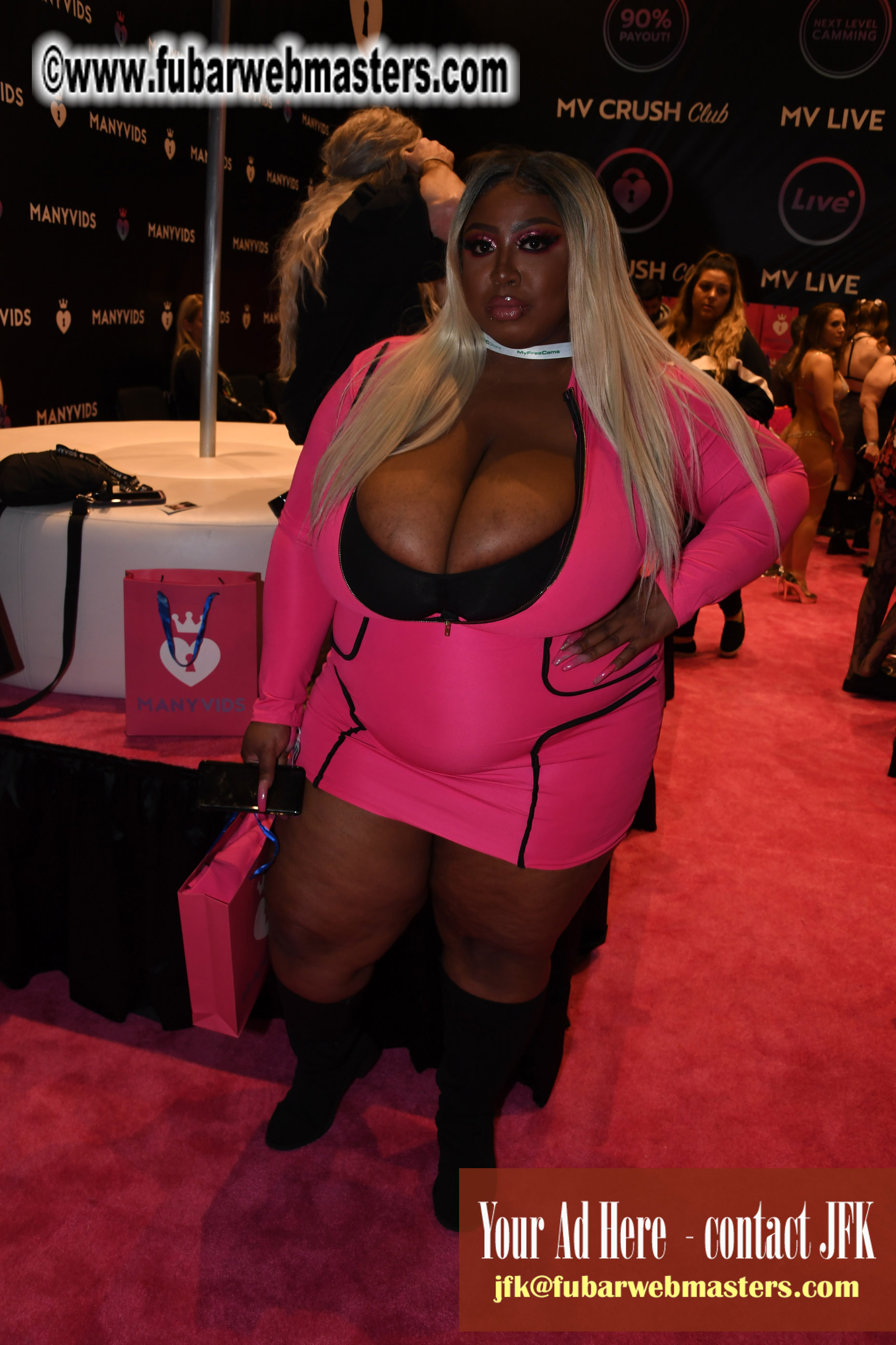 The AVN Show