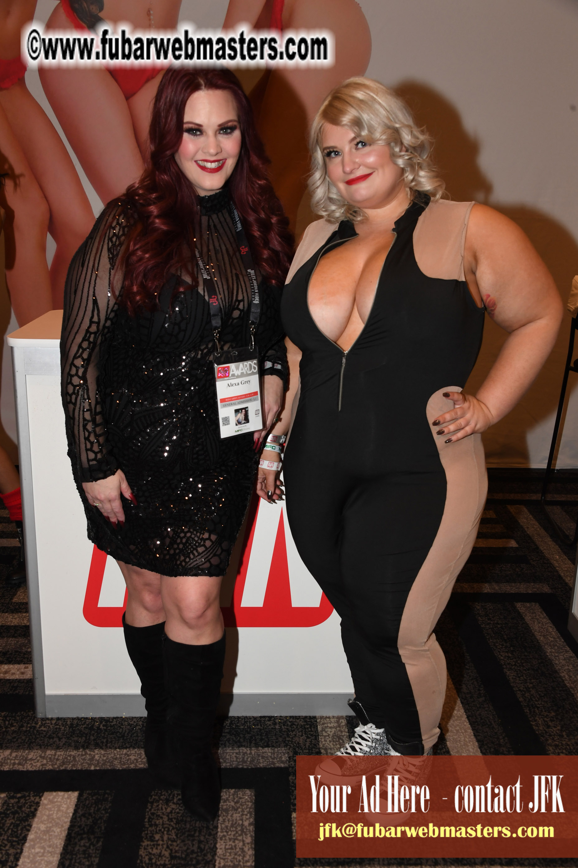 The AVN Show