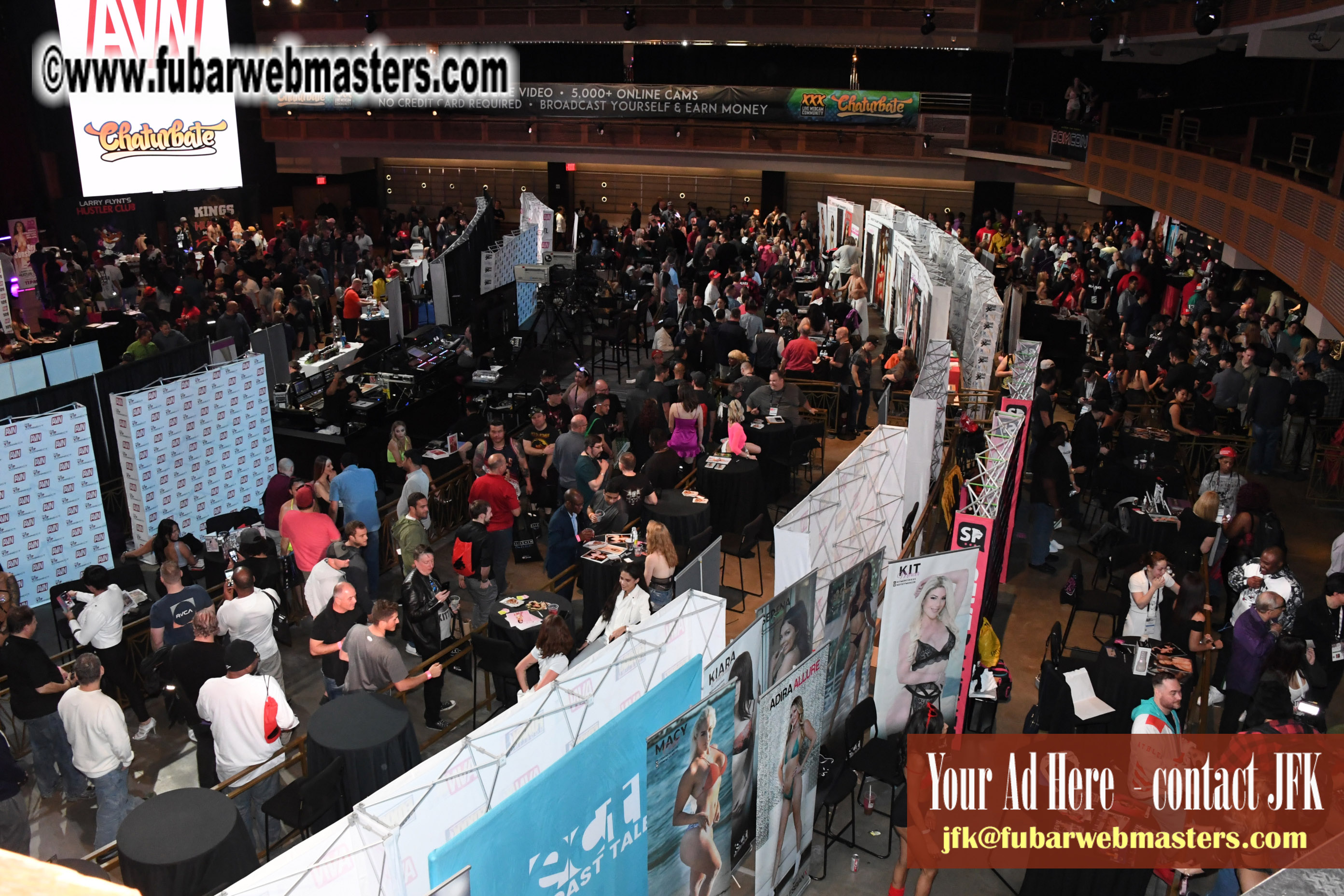 The AVN Show