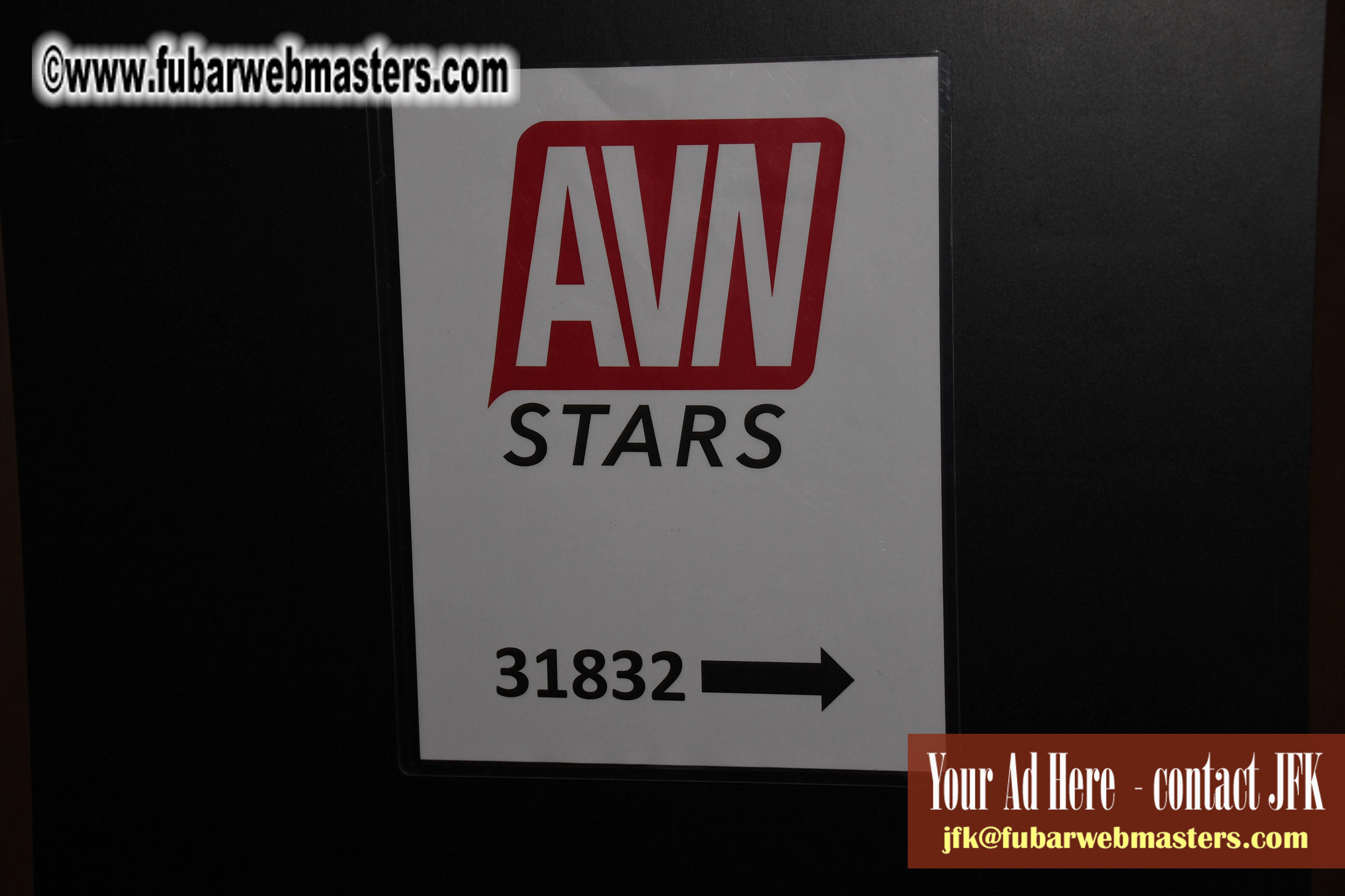 AVN Stars
