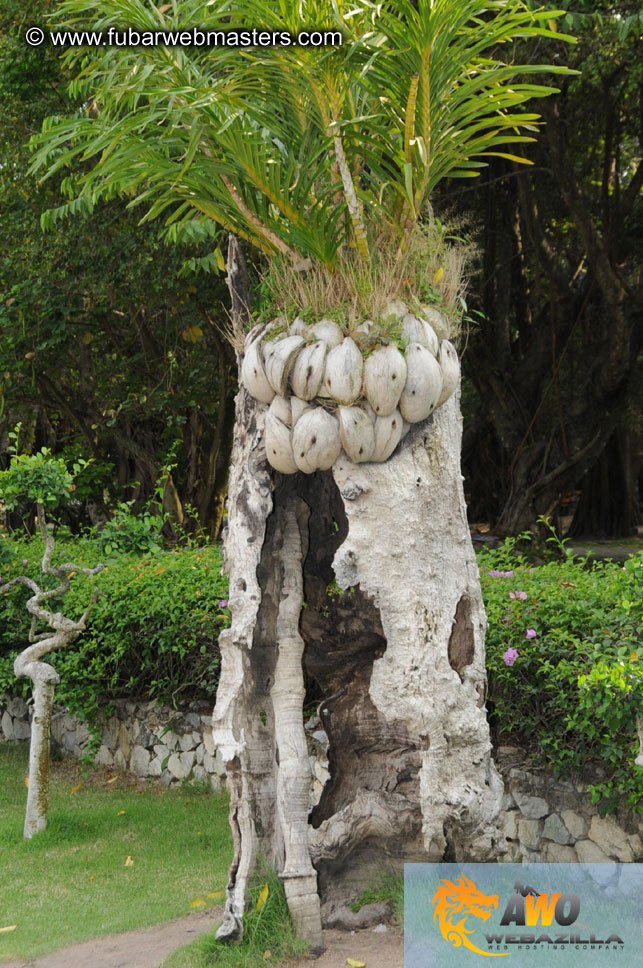 Crocodile Farm