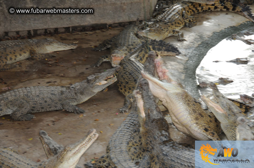 Crocodile Farm