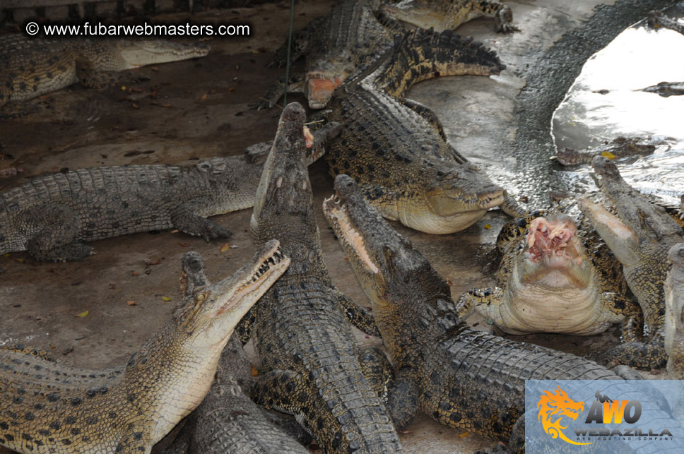 Crocodile Farm