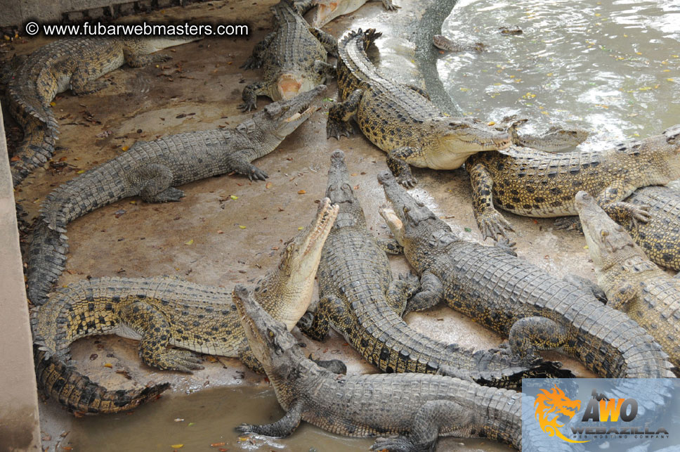 Crocodile Farm