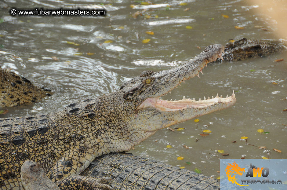 Crocodile Farm