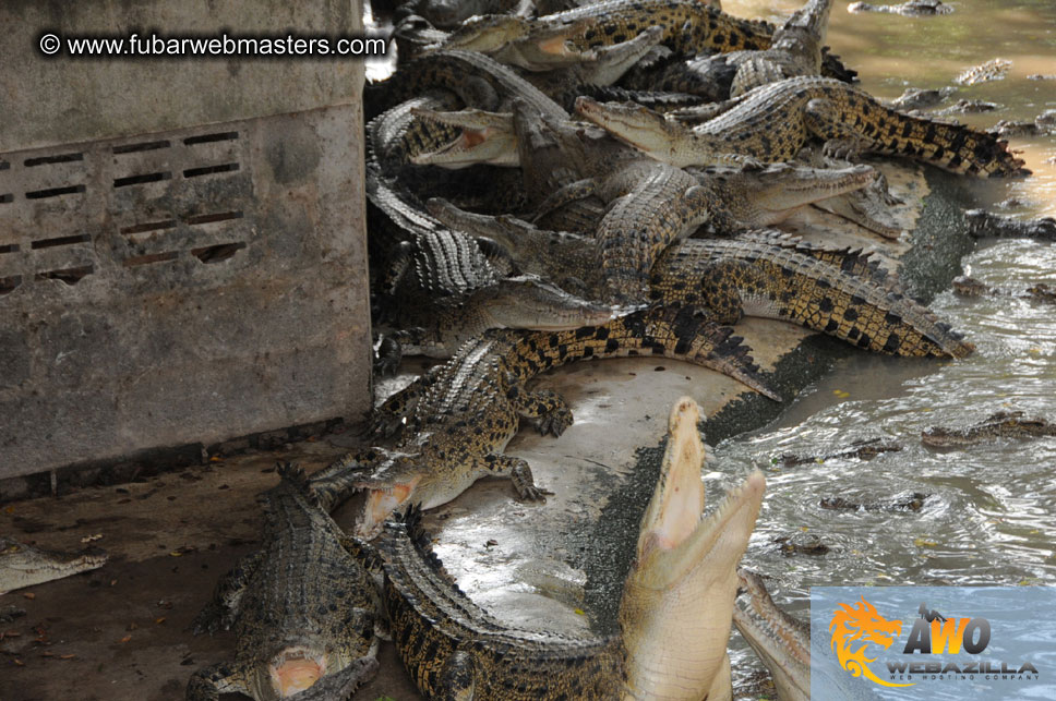 Crocodile Farm