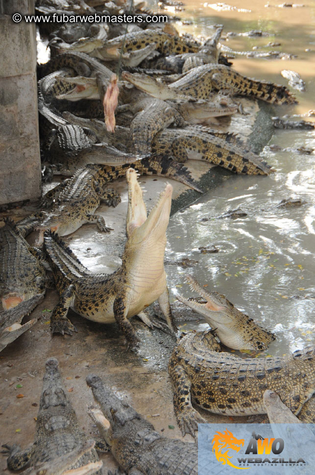 Crocodile Farm