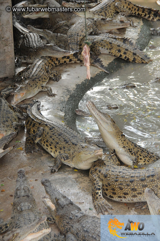 Crocodile Farm