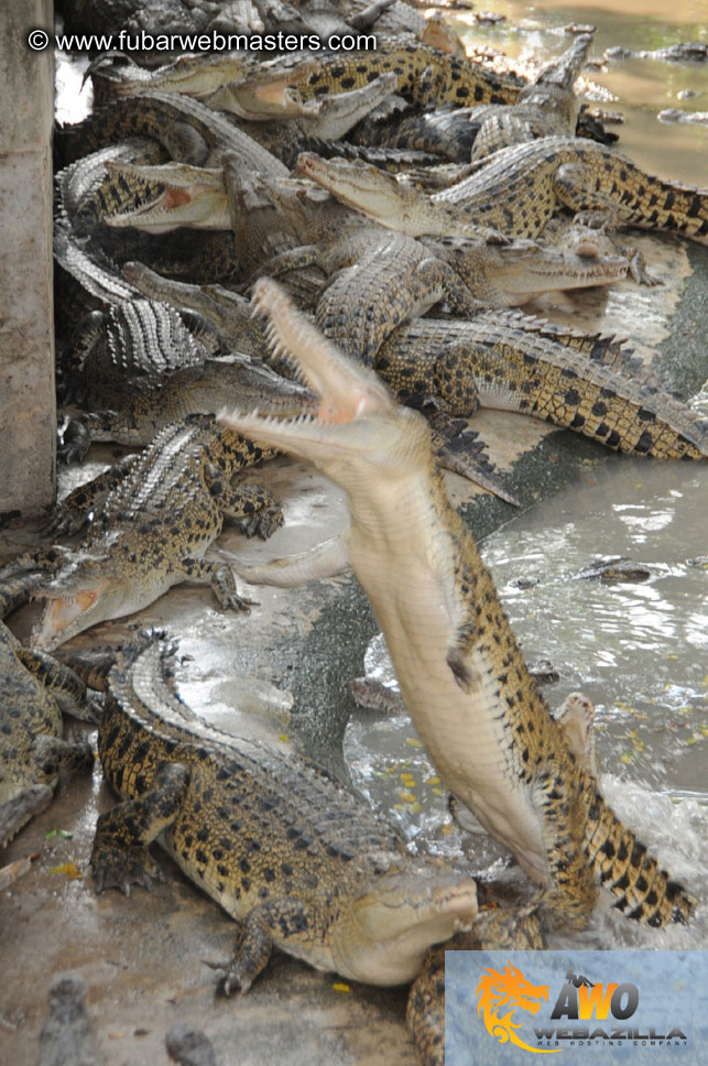 Crocodile Farm