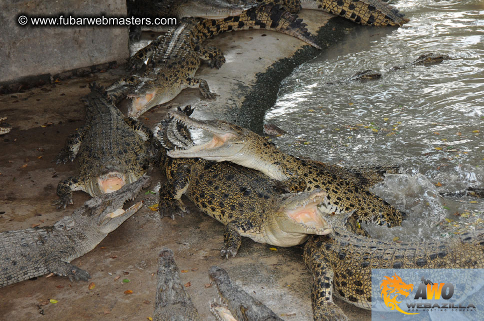 Crocodile Farm