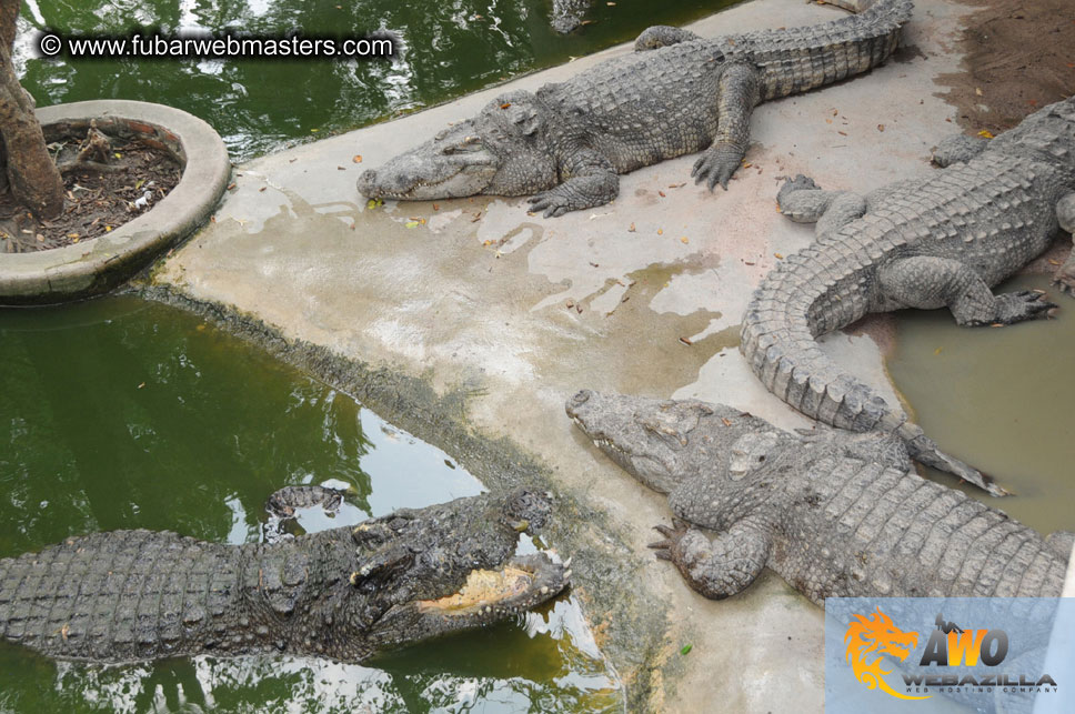 Crocodile Farm