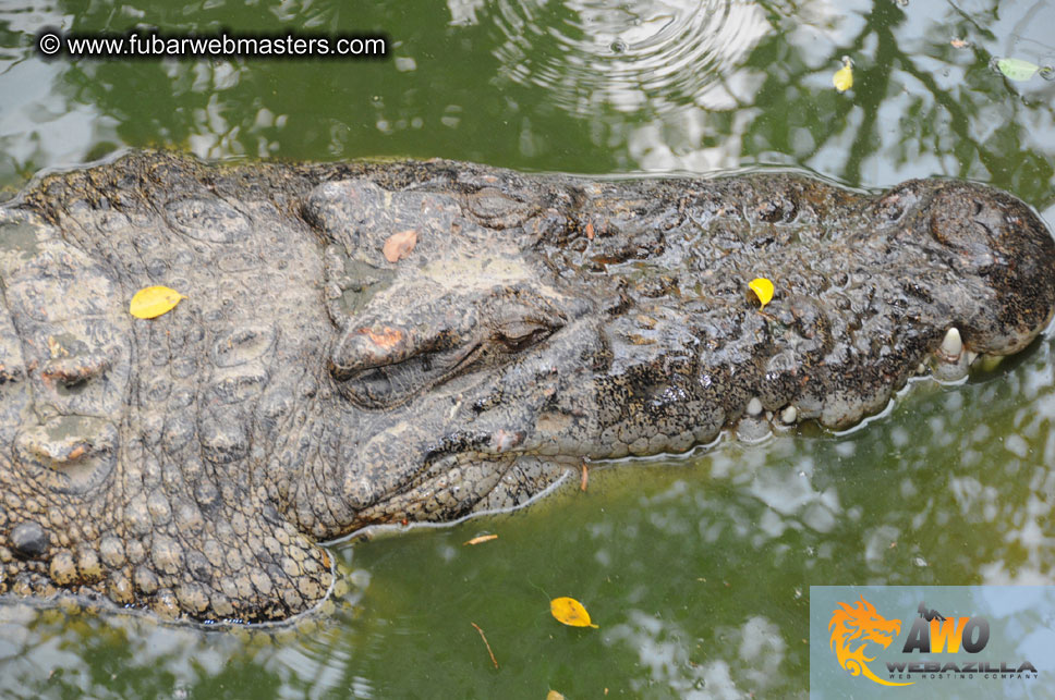 Crocodile Farm