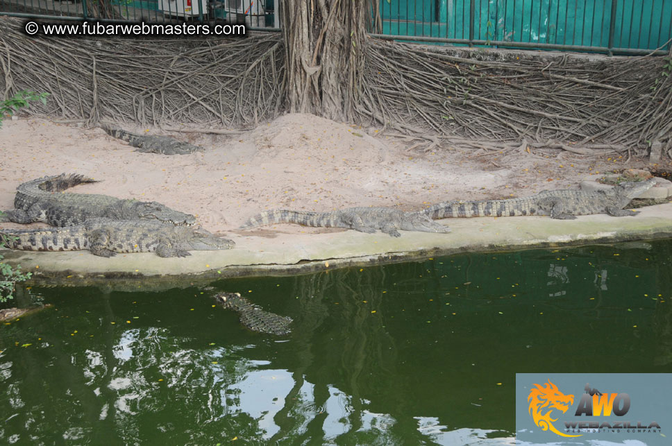 Crocodile Farm