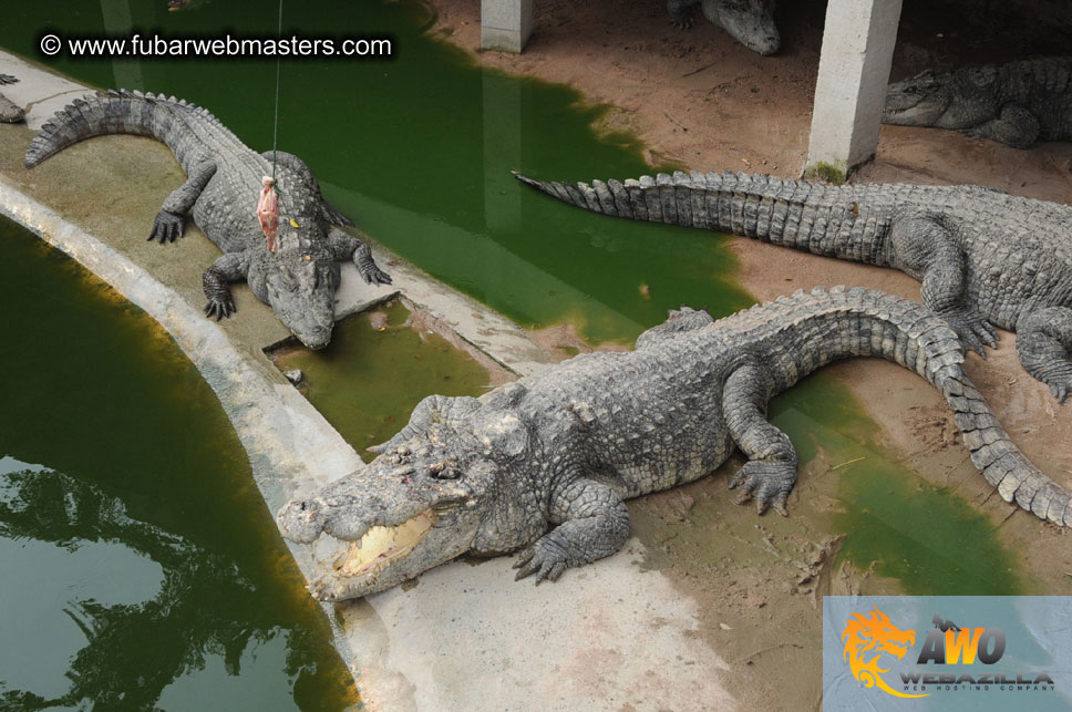 Crocodile Farm