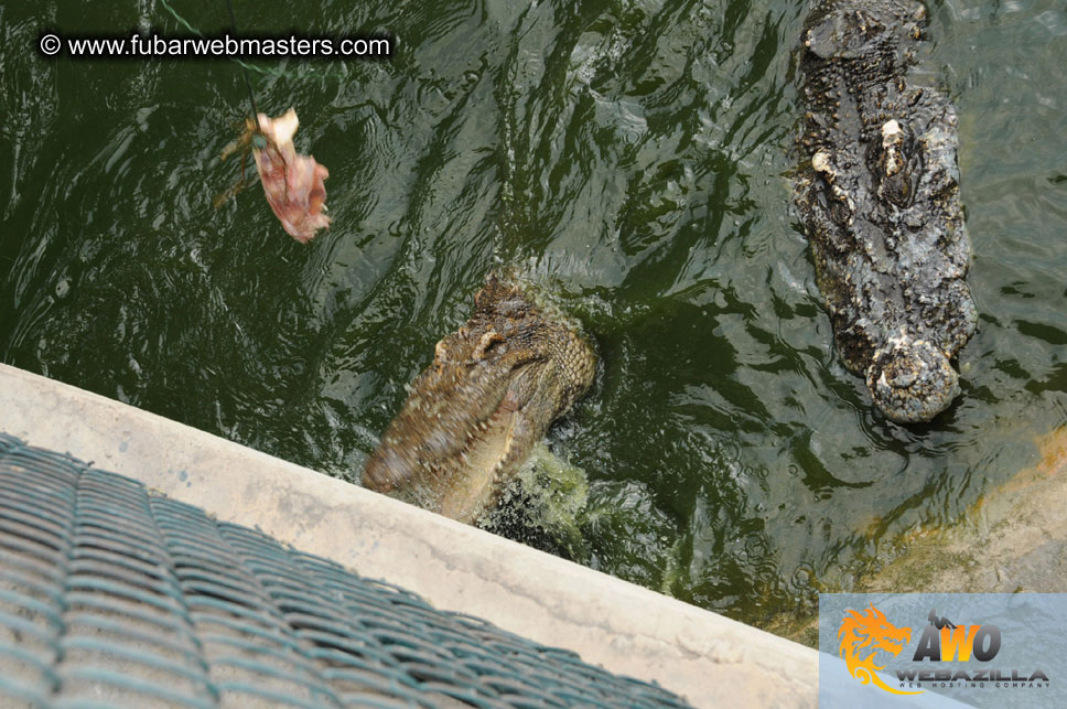 Crocodile Farm